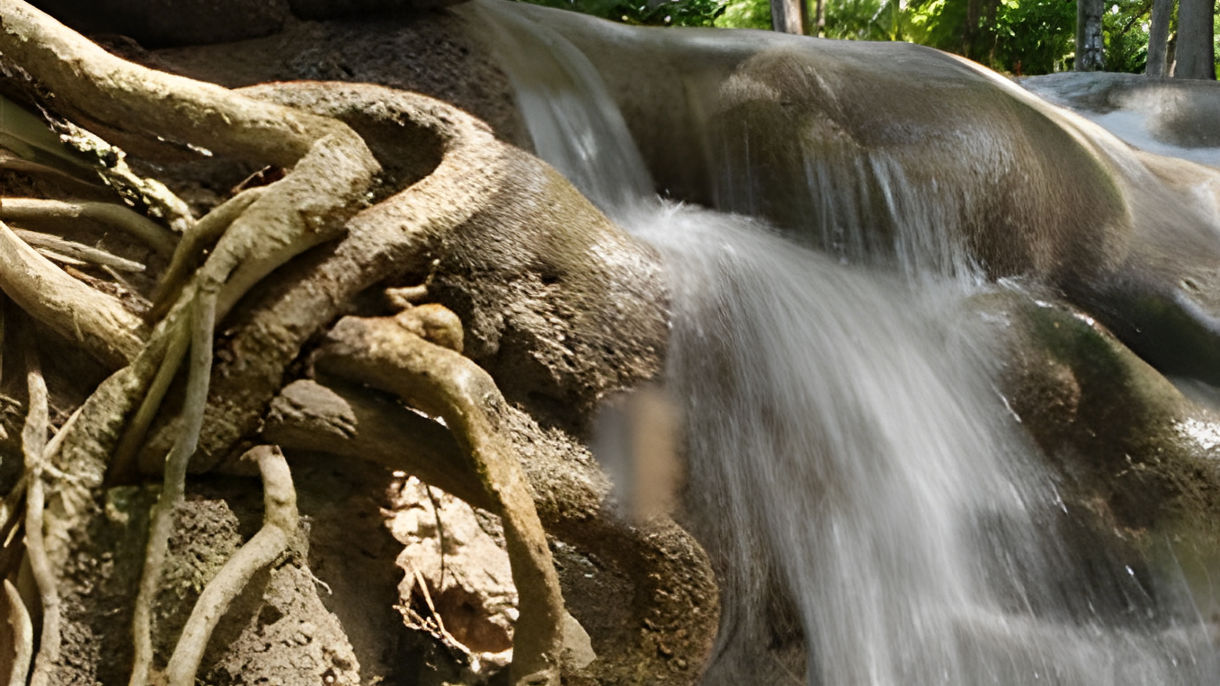 Sky Explorer, Bobsled & Dunn's River Falls with Lunch
