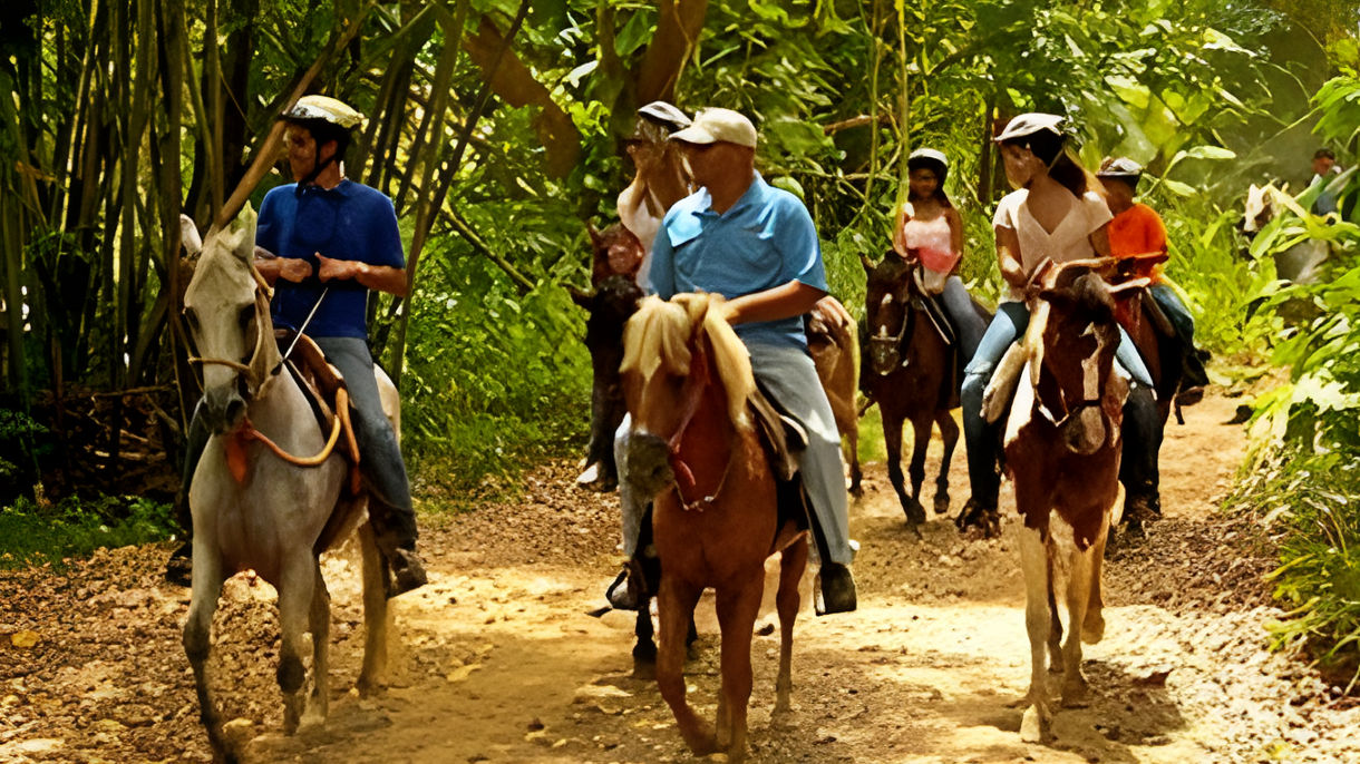 Horseback Ride 'n' Swim
