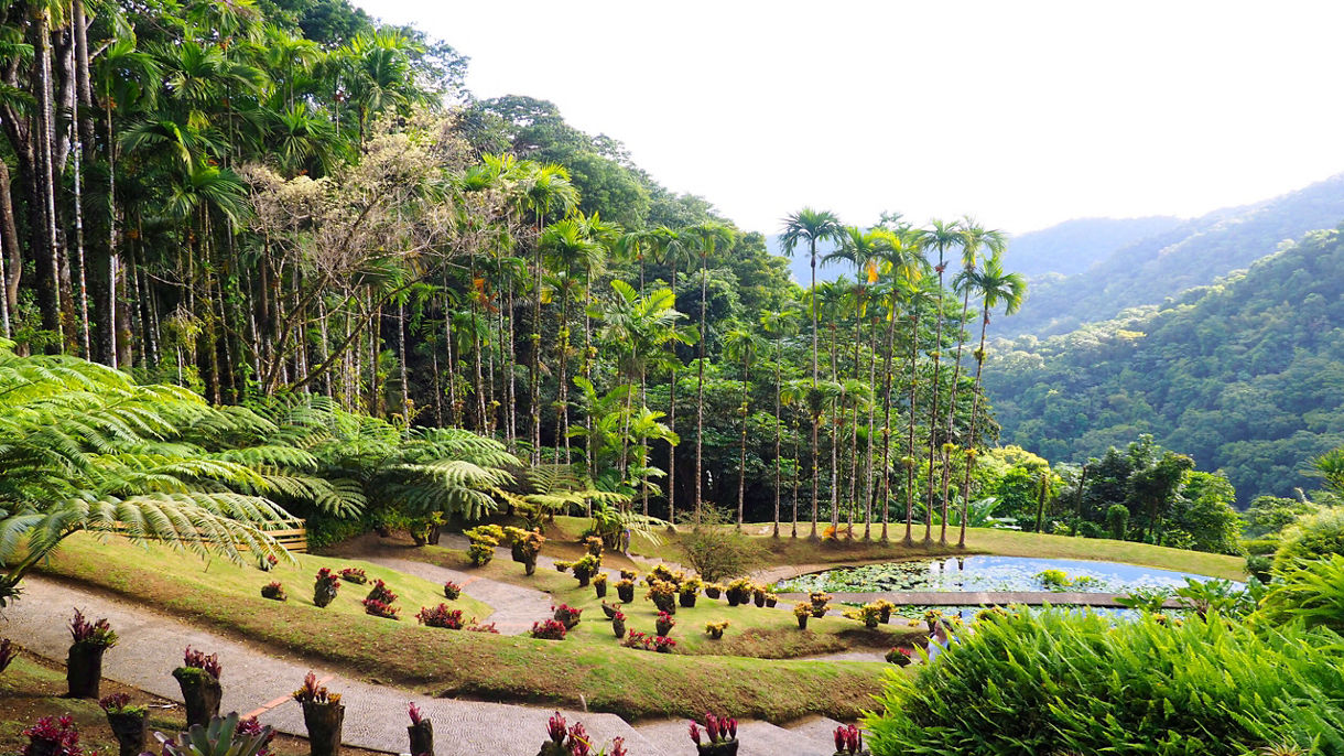 Balata Botanical Garden