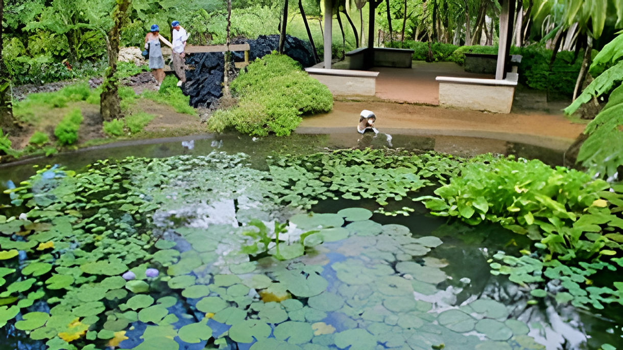 Balata Botanical Garden