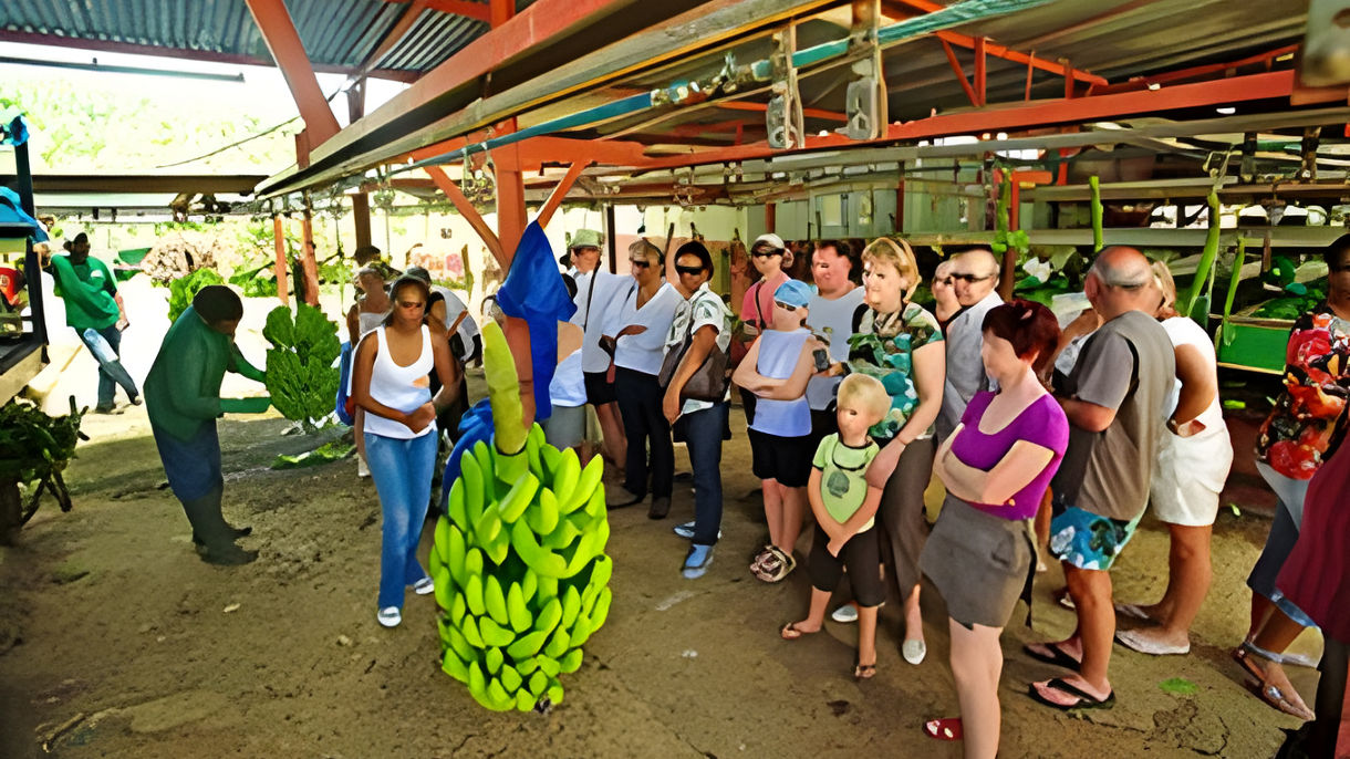 Local Connections: Belfort Plantation House & Clement Rum Tasting  with Cultural Expert