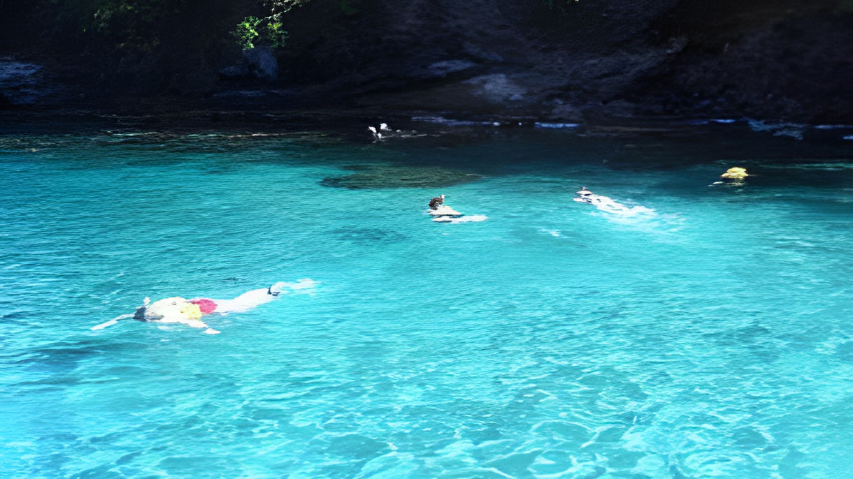 Two-Site Snorkeling Adventure