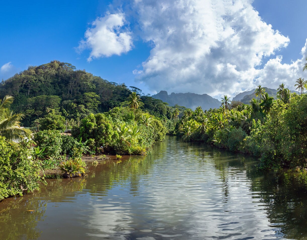 Tranquil river surrounded by dense tropical vegetation and palm trees, with forested hills and blue sky in the background on Raiatea Island.