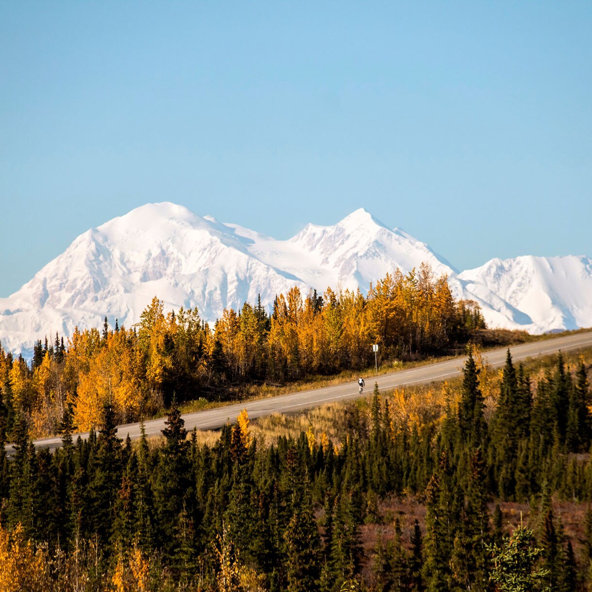 Scenic Alaska highway winding through evergreen forest and golden autumn trees with snowcapped mountains rising in the background.