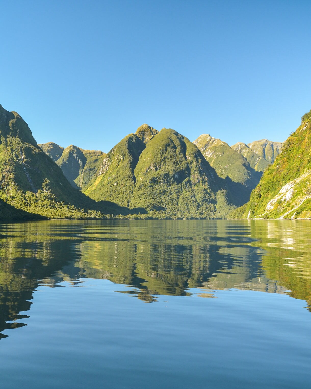 View of Doubtful Sound with steep, green mountains reflected in calm blue water under a clear sky.
