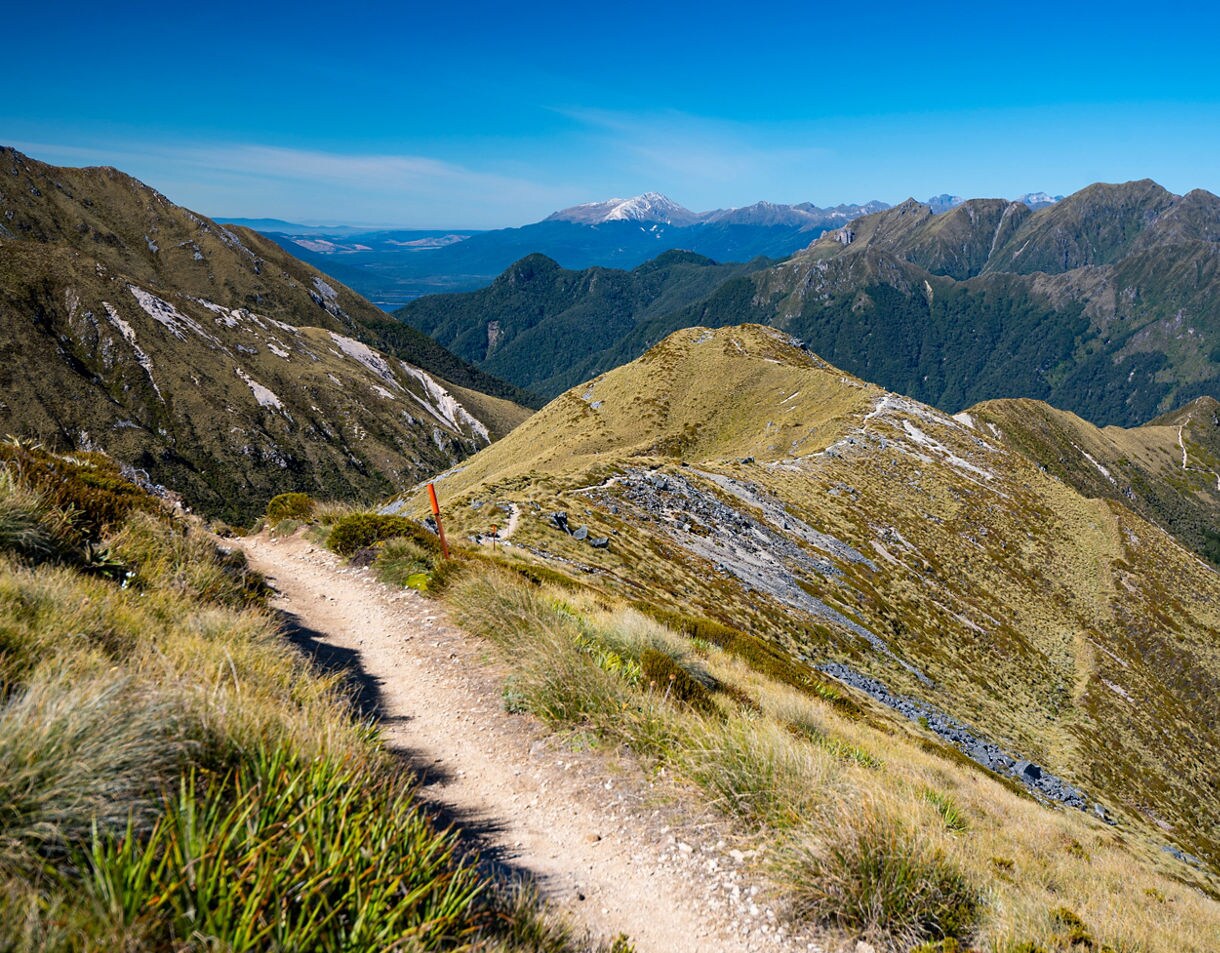 Mountain trail near Te Anau with a dirt path leading along a grassy ridge, surrounded by rugged peaks, deep valleys and a bright blue sky.