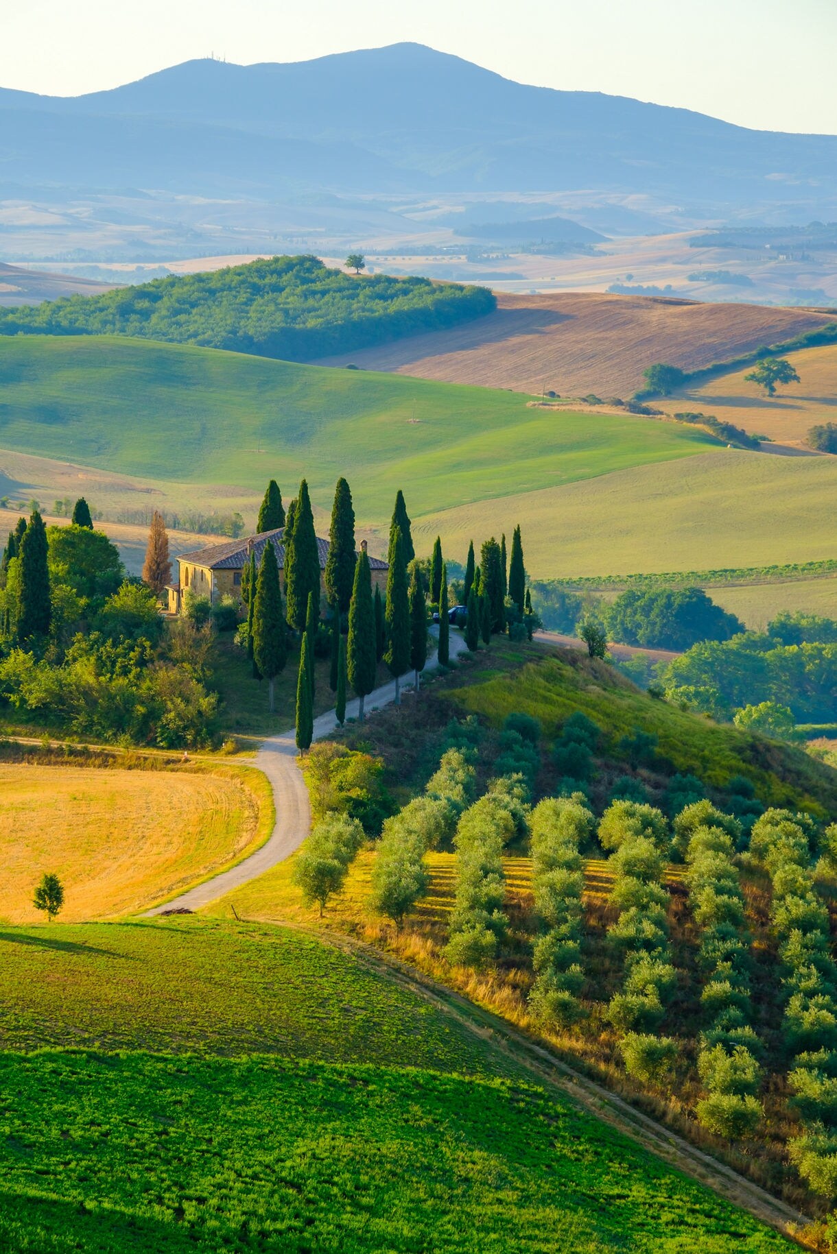 A curving country road leading to a hilltop farmhouse surrounded by tall cypress trees, with rolling green fields and layered blue hills in the background.