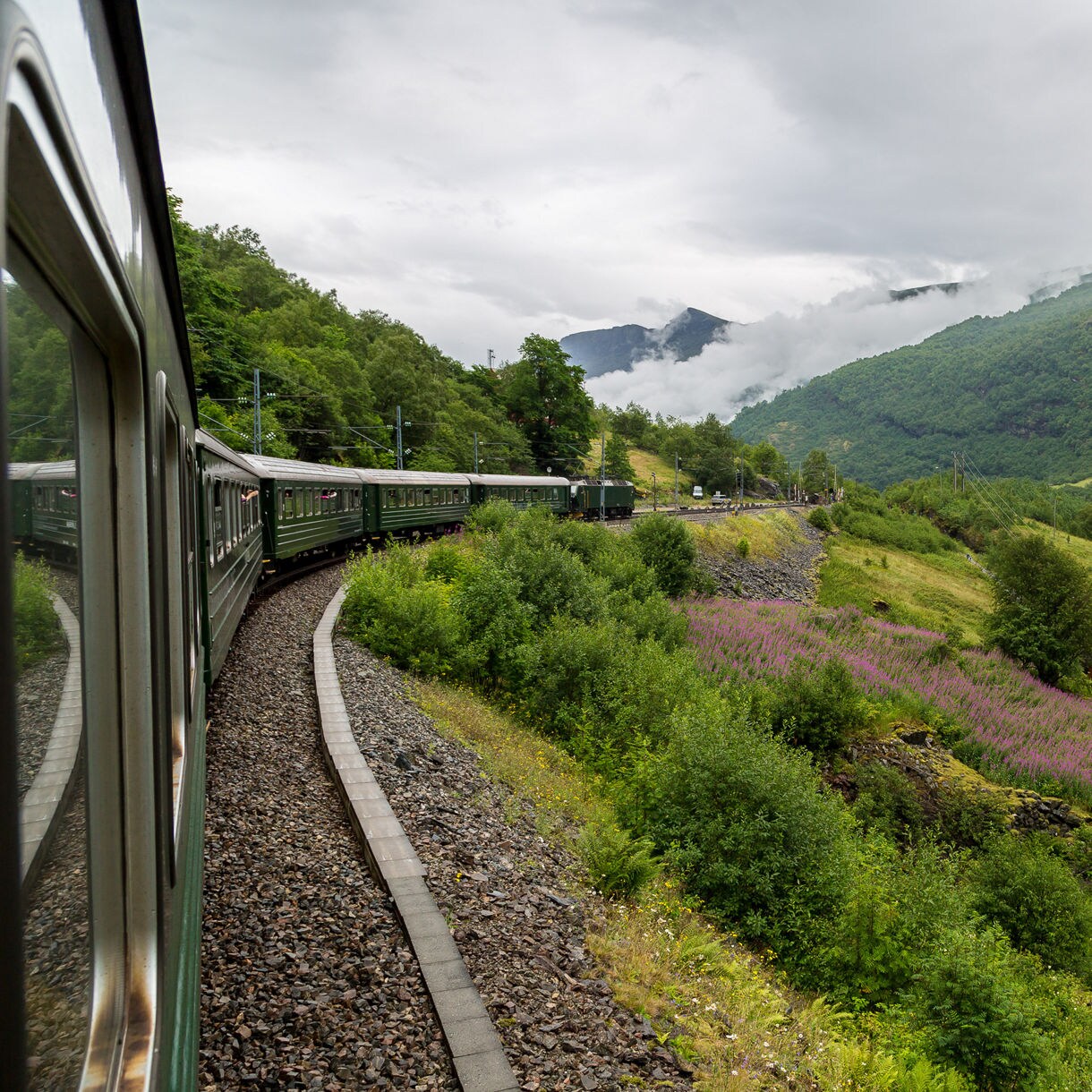 View from a green train curving through a lush Norwegian valley with purple wildflowers, red farmhouses and steep mountains wrapped in low clouds.