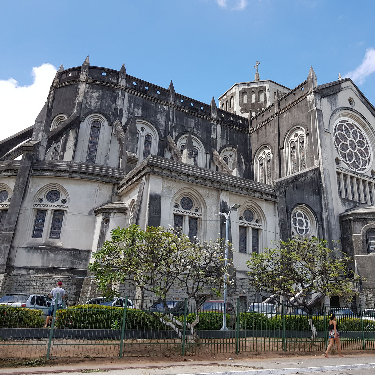 Large gray Gothic-style cathedral with pointed arches, stained-glass windows and a tall spire, viewed from behind a row of small trees and a metal fence.