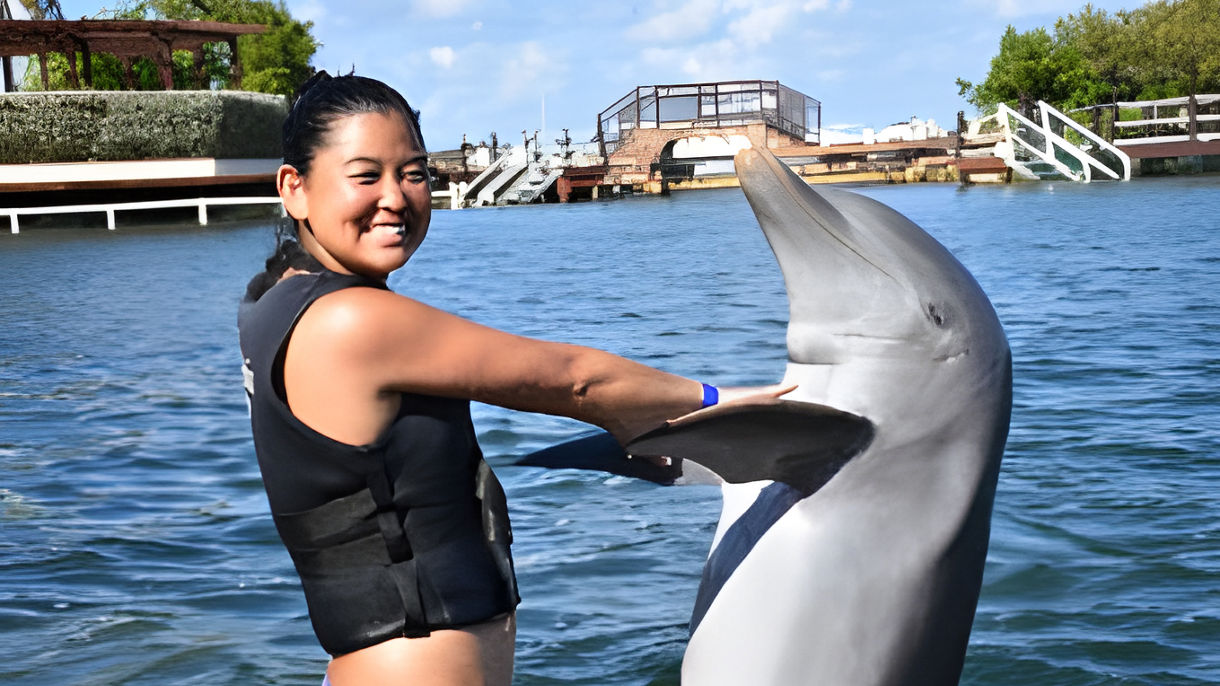 Dolphin Swim & Stingray Encounter