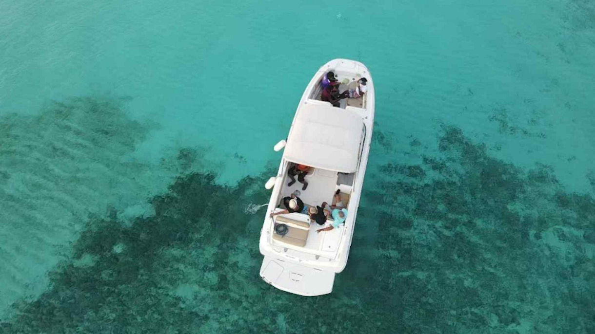 VIP Cruise Snorkel & Champagne Adventure