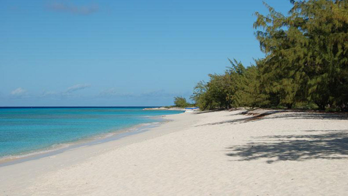 Island Vibes & Beach Swim