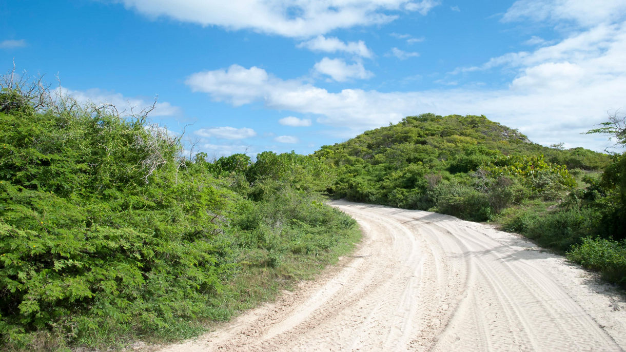 ATV Off Road Adventure
