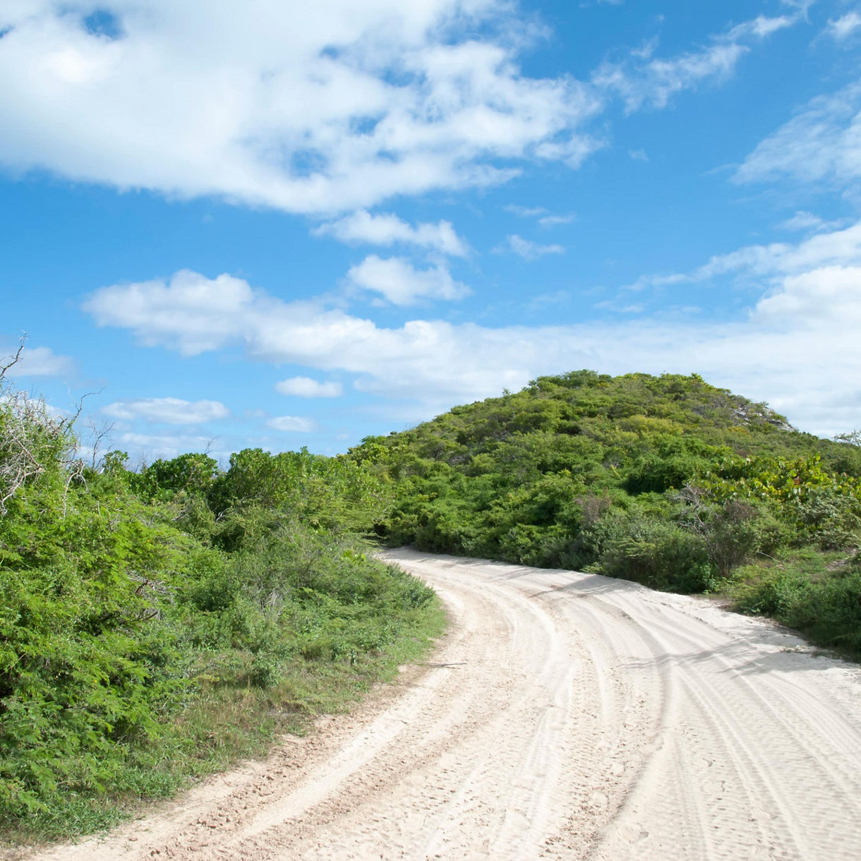 ATV Off Road Adventure