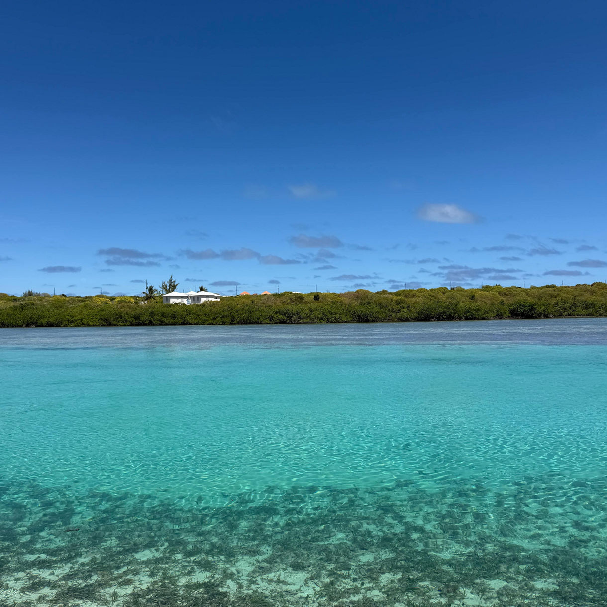 Grand Turk Donut Boat & Scenic Cruise