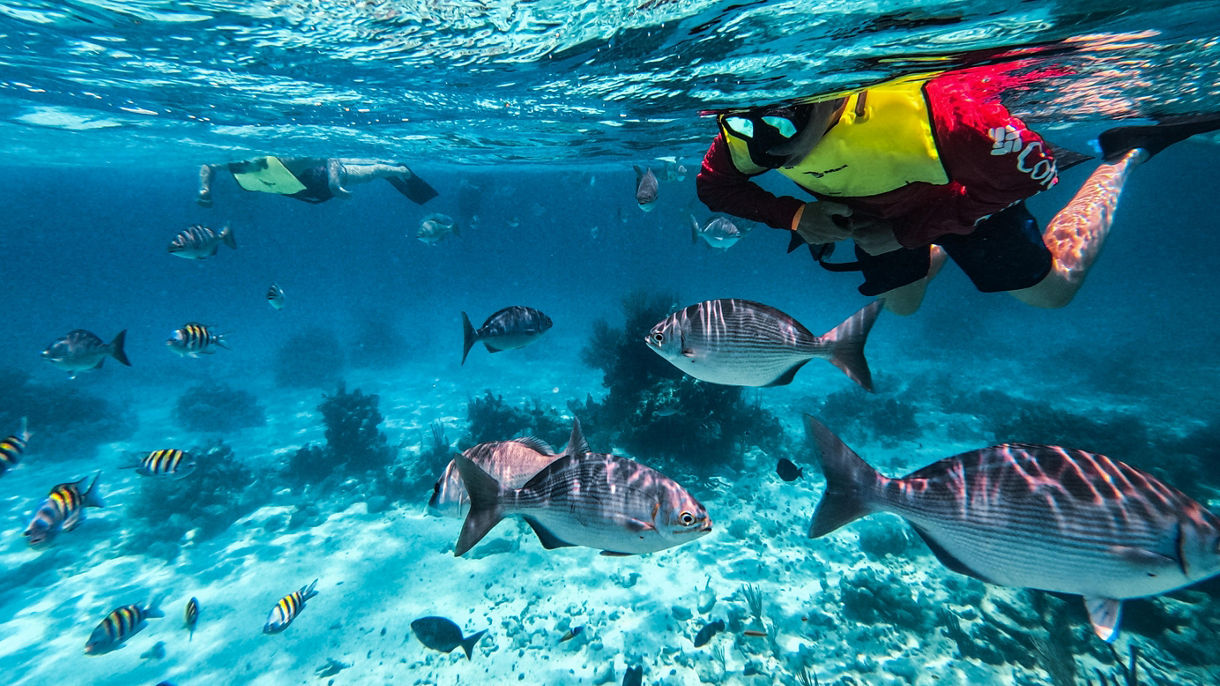 Adults Only - Snorkel, Sip & Sail