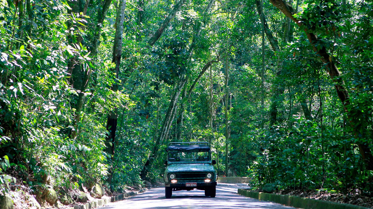 Tijuca Forest 4X4 Safari