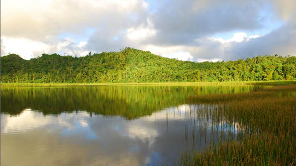 Best of Grenada: Spice Estate, Grand Etang Park & Annandale Falls