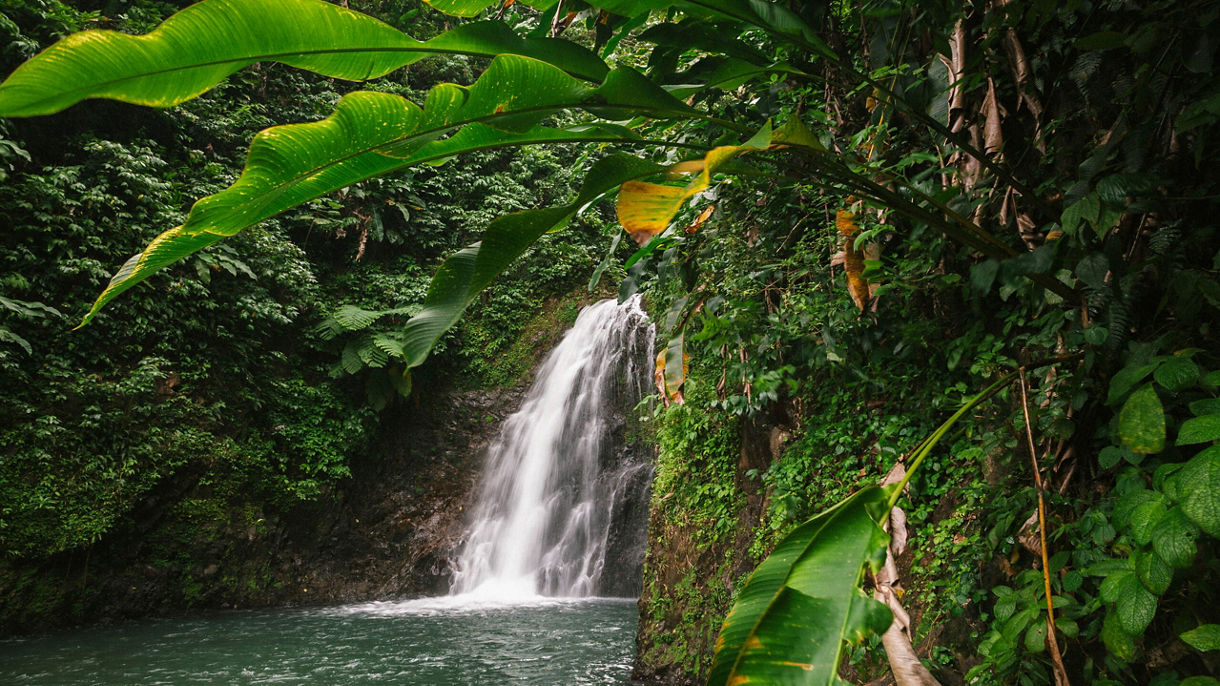 Grand Etang Park & Seven Sisters Waterfalls Hike