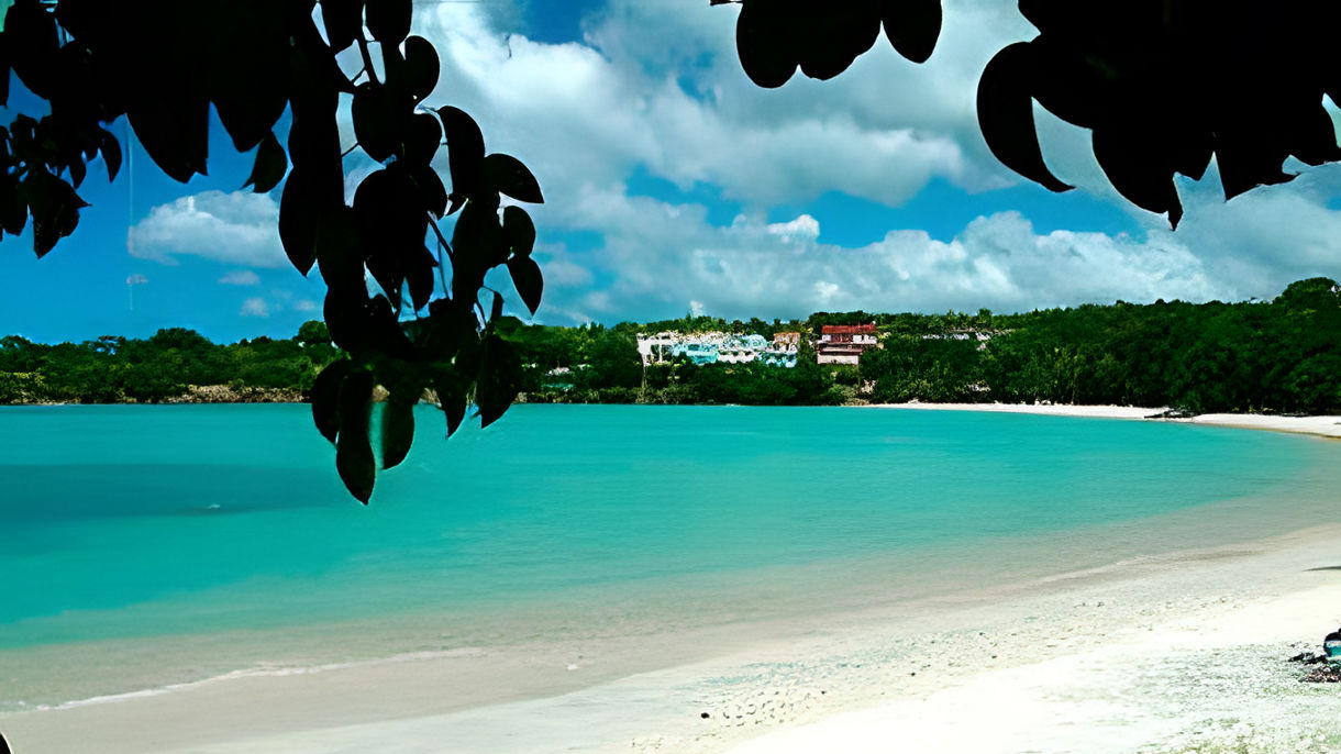 Scenic Cruise, Snorkeling, Morne Rouge & Lunch