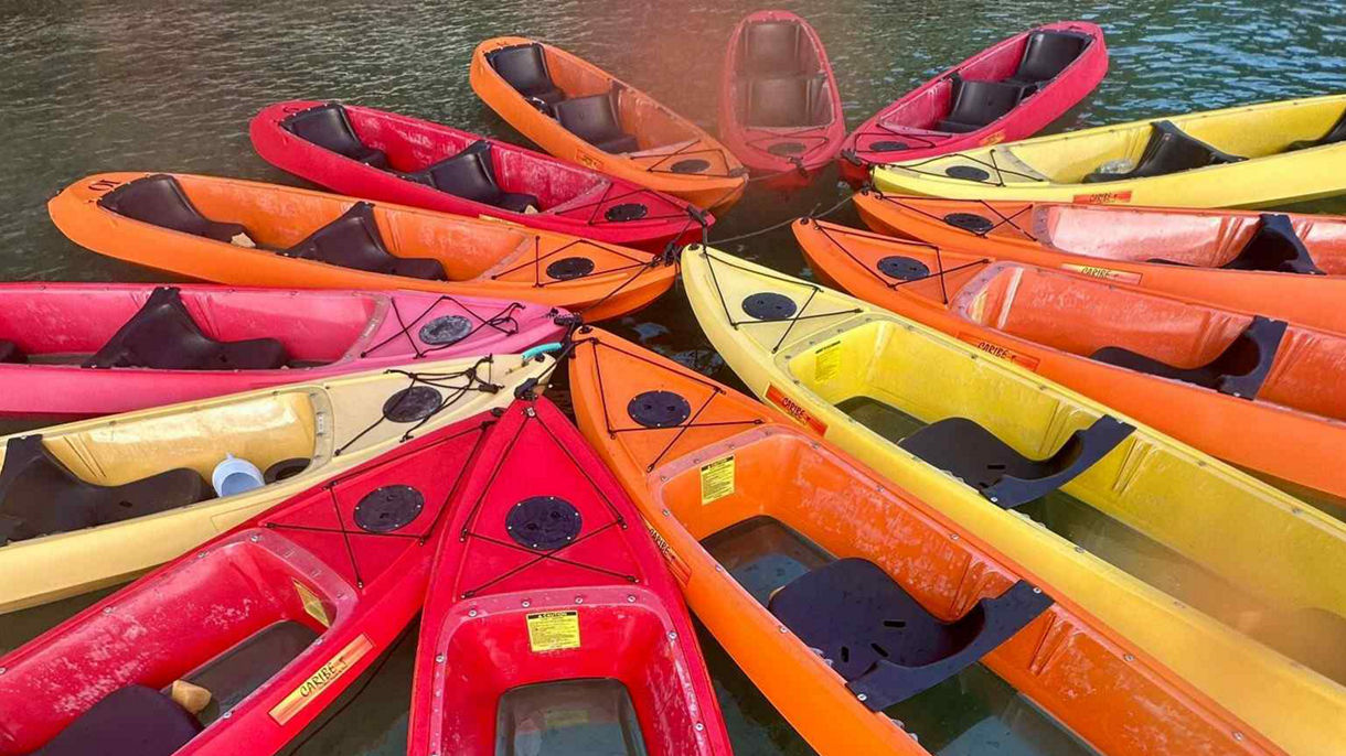 Glass-Bottom Kayaking