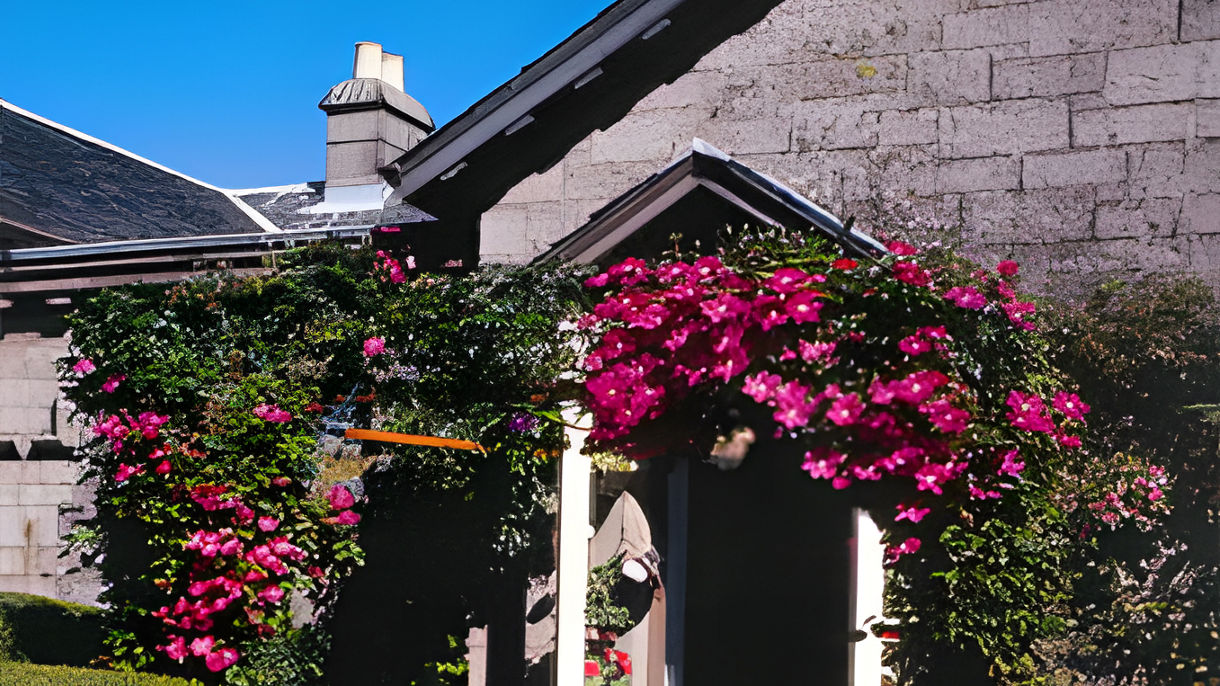 Exploring Inveraray & the Highlands