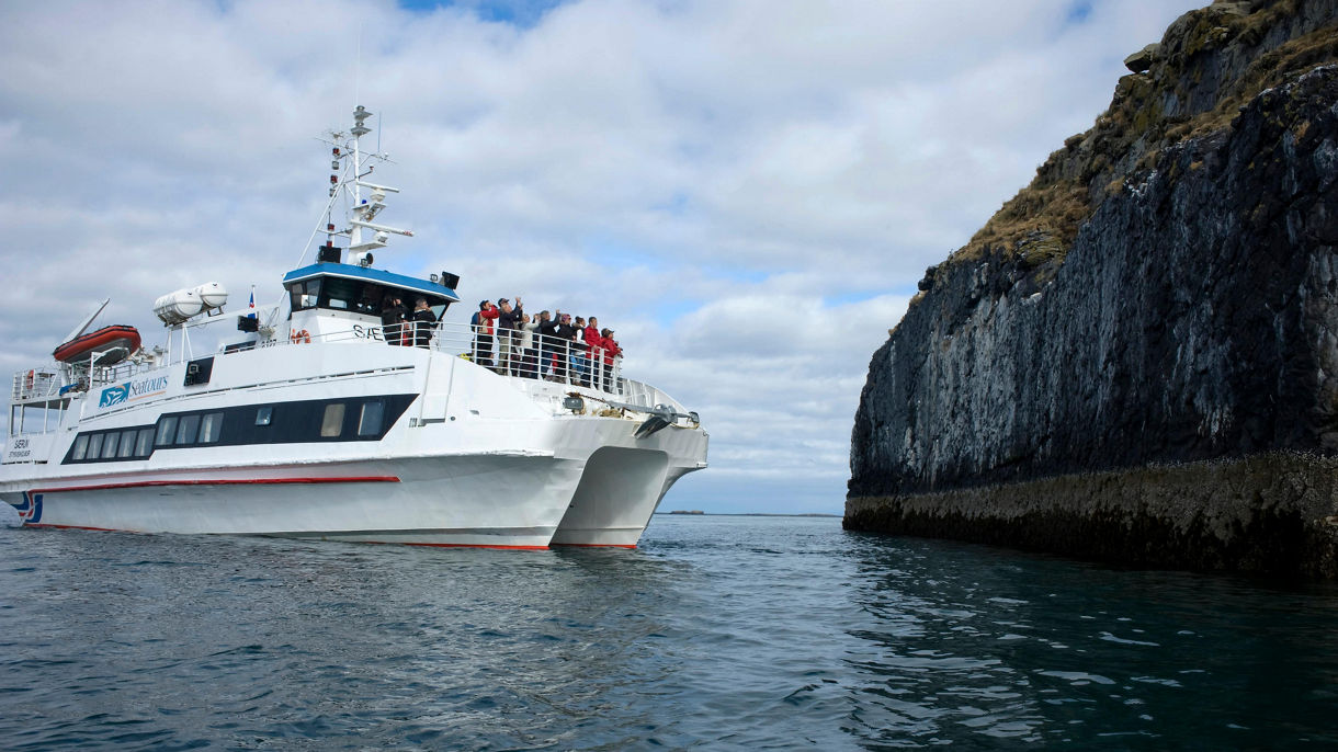 Puffin & Wildlife Boat Tour