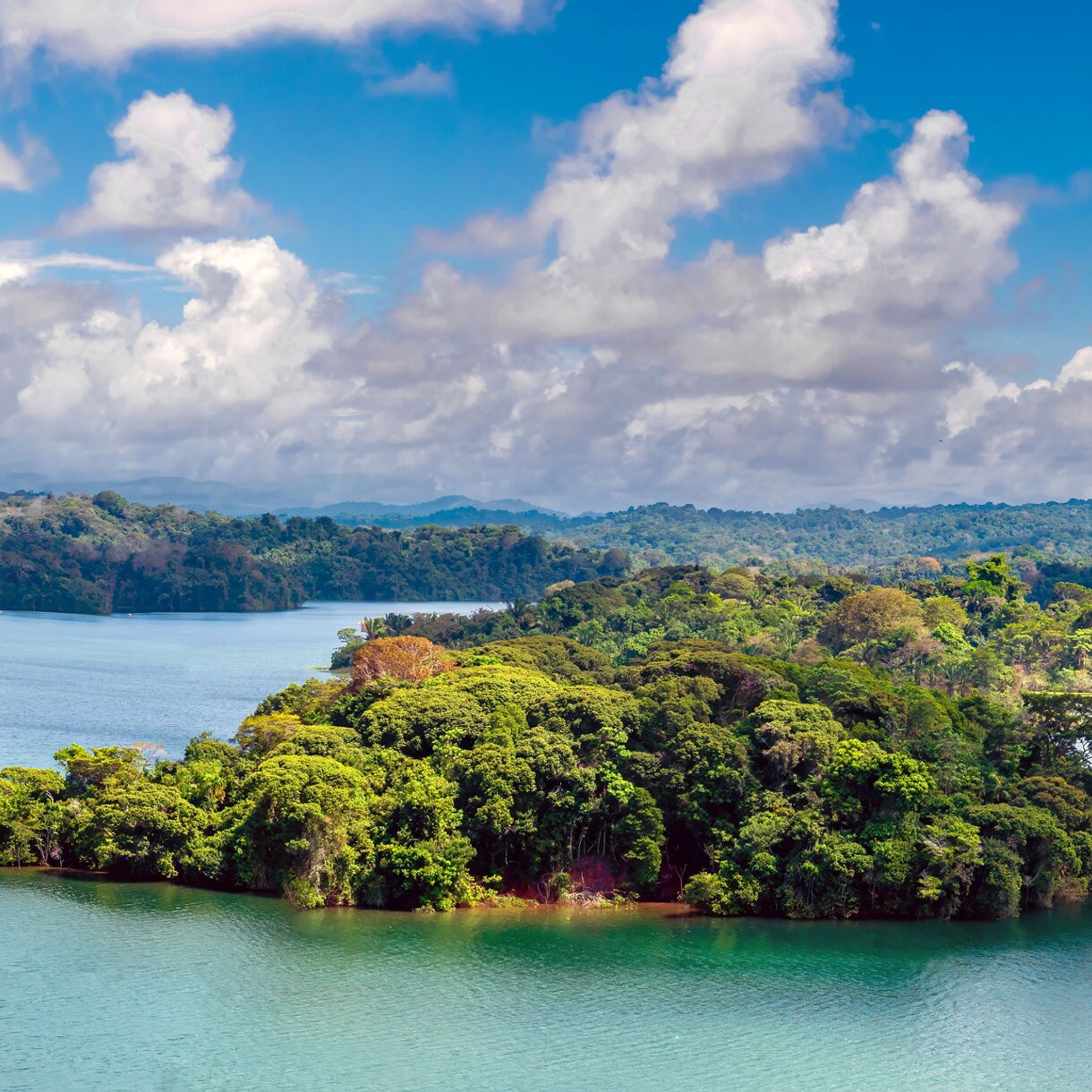 Panoramic view of Gatun Lake with turquoise water, dense jungle islands and a backdrop of forested hills under a bright blue sky.