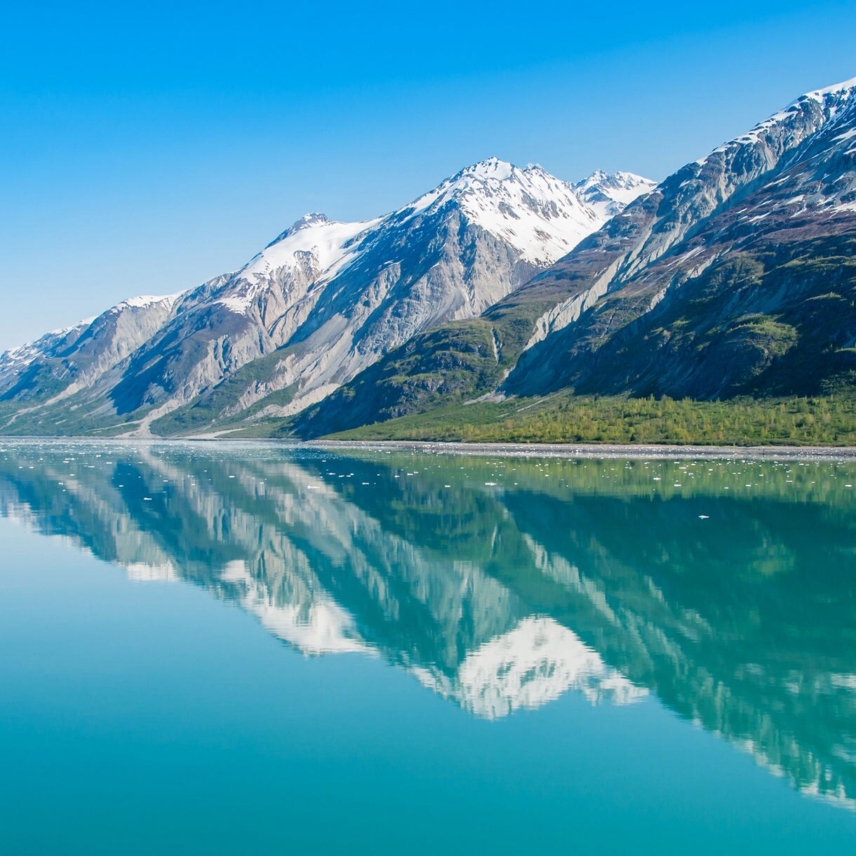 Snow-capped mountains and green shoreline perfectly reflected in the glassy turquoise waters of Glacier Bay National Park under a cloudless blue sky, with small ice fragments floating on the surface.