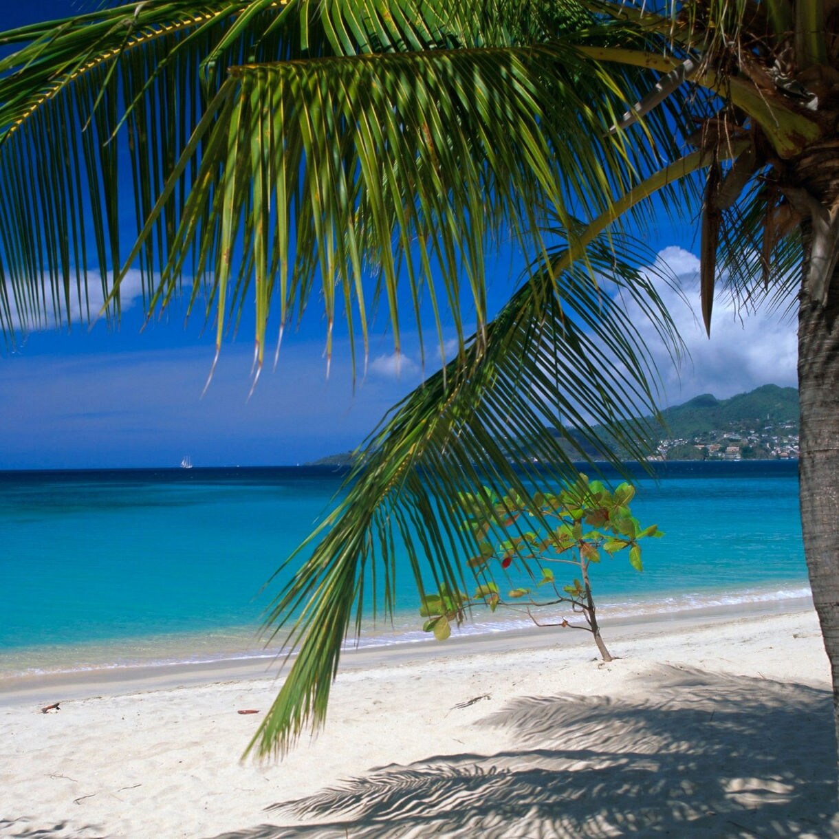 Grenada's iconic Grand Anse Beach, turquoise waters.