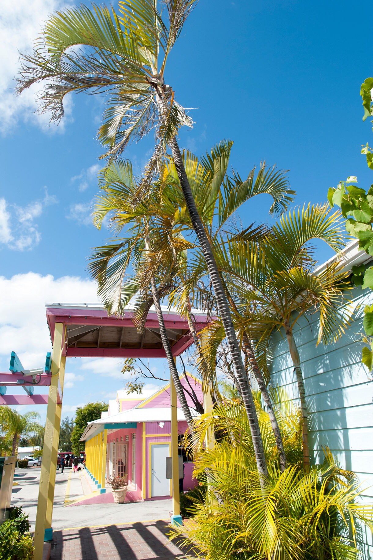 Bright pastel buildings and tall palm trees in Freeport, Bahamas under a clear blue sky.