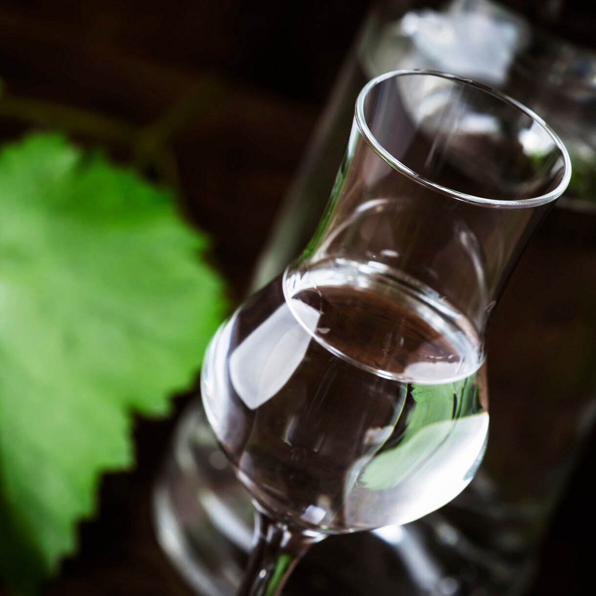 Close-up of a clear glass filled with pisco beside green grape leaves on a wooden surface.