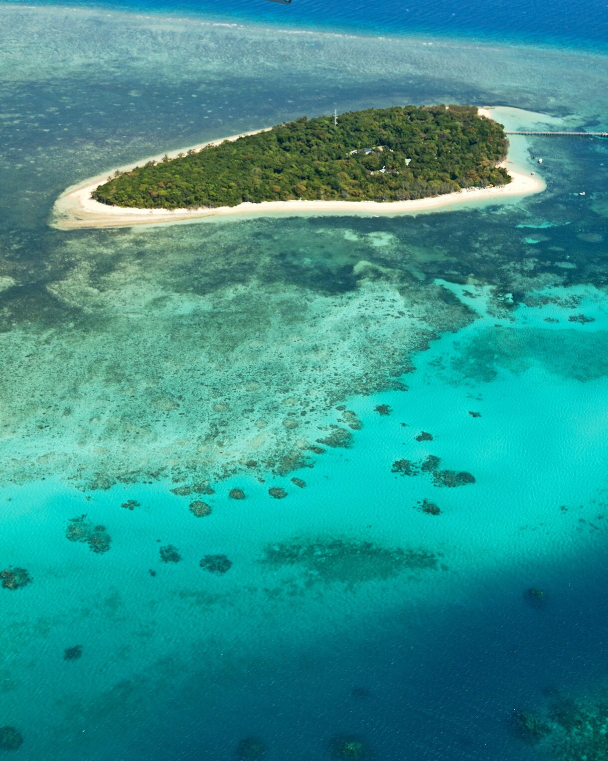 Aerial view of a small lush island surrounded by coral reefs and vivid turquoise water in the Great Barrier Reef.