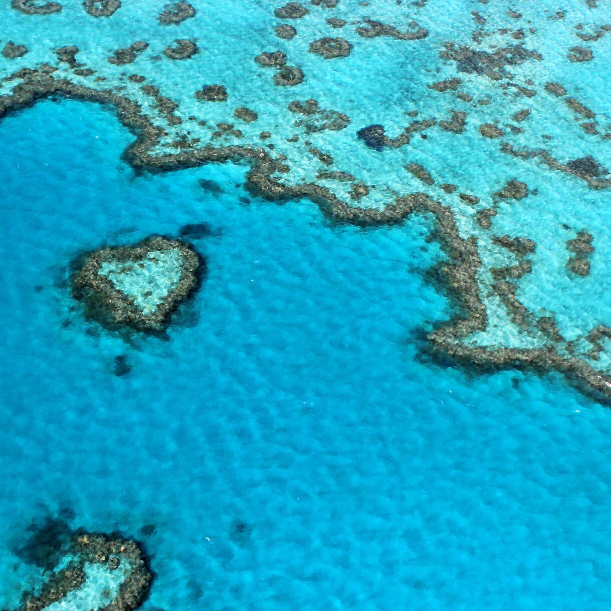 Aerial view of Heart Reef in the Great Barrier Reef, surrounded by shallow turquoise water and coral formations.