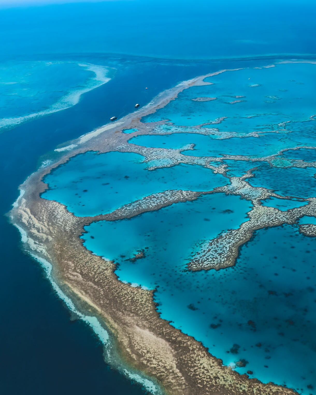 Aerial view of the Great Barrier Reef showing bright turquoise shallows, patchwork coral formations and deep blue ocean surrounding the reef edge.