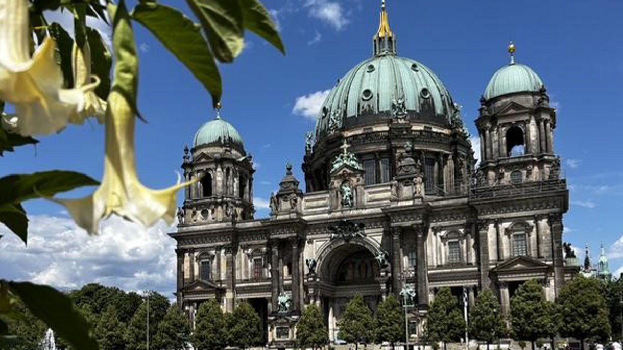 Berlin on Your Own by Public Train