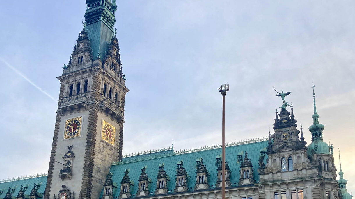 Hamburg Night Lights: Panoramic Drive & Bavarian Dinner