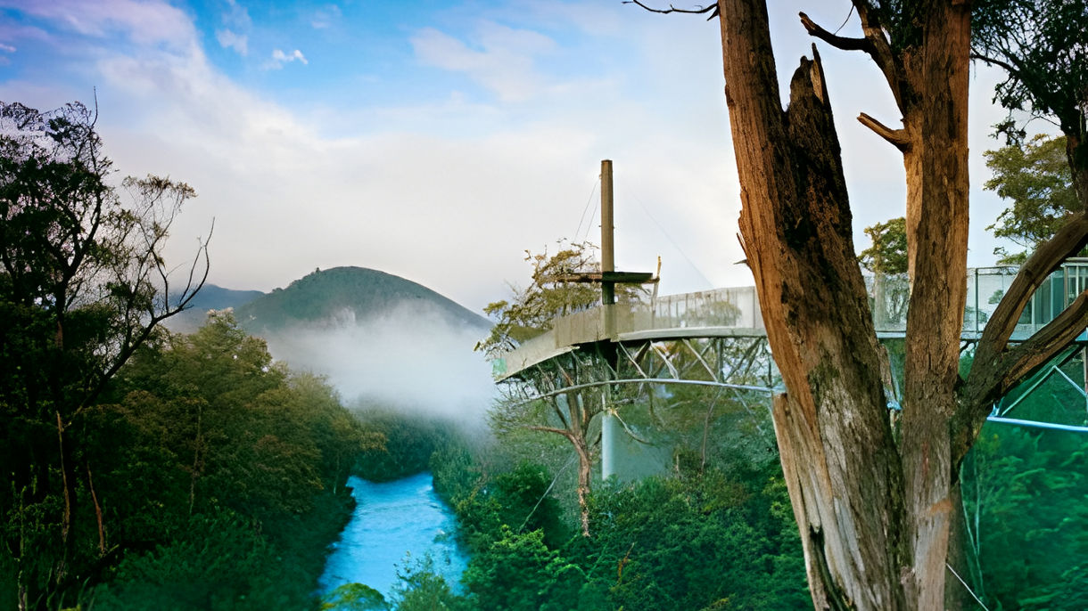 Huon Valley & Tahune Airwalk
