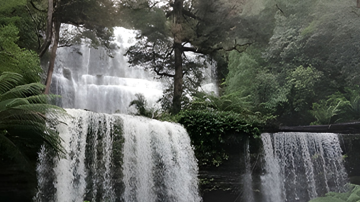 Mt. Field National Park