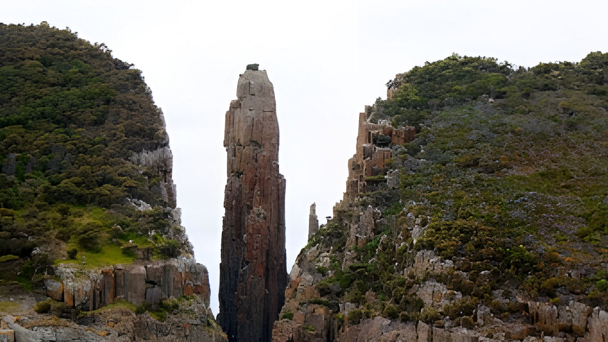 Tasman Island Wildlife Cruise