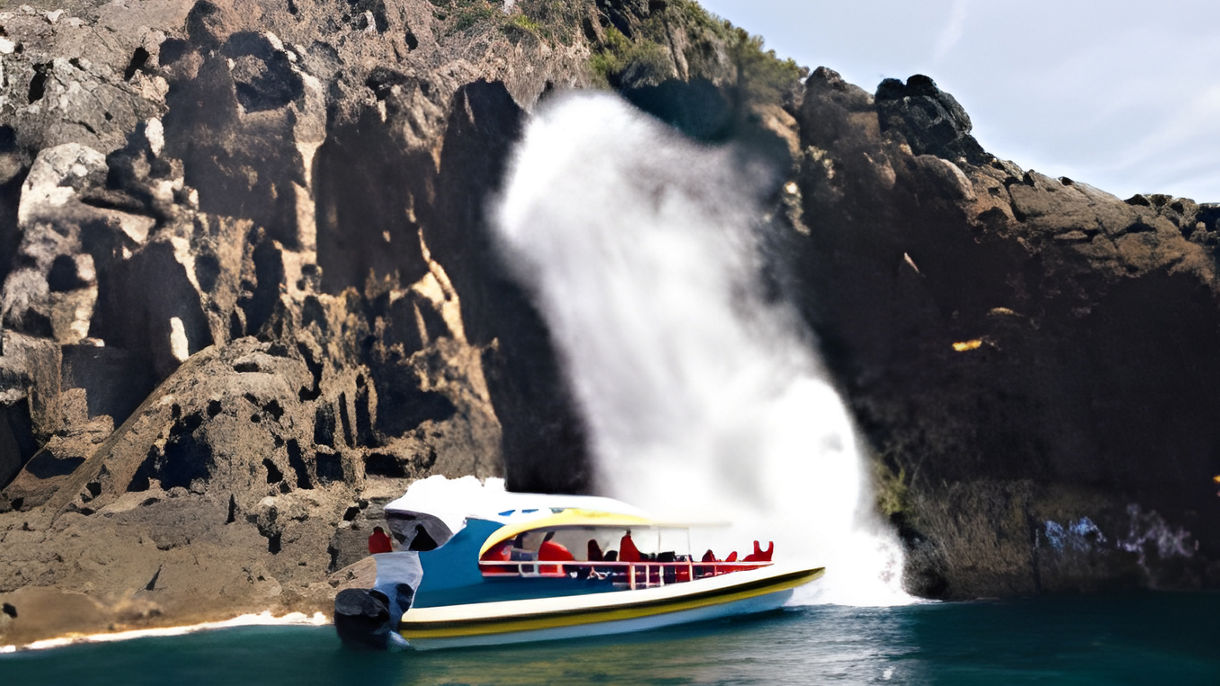 Tasman Island Wildlife Cruise