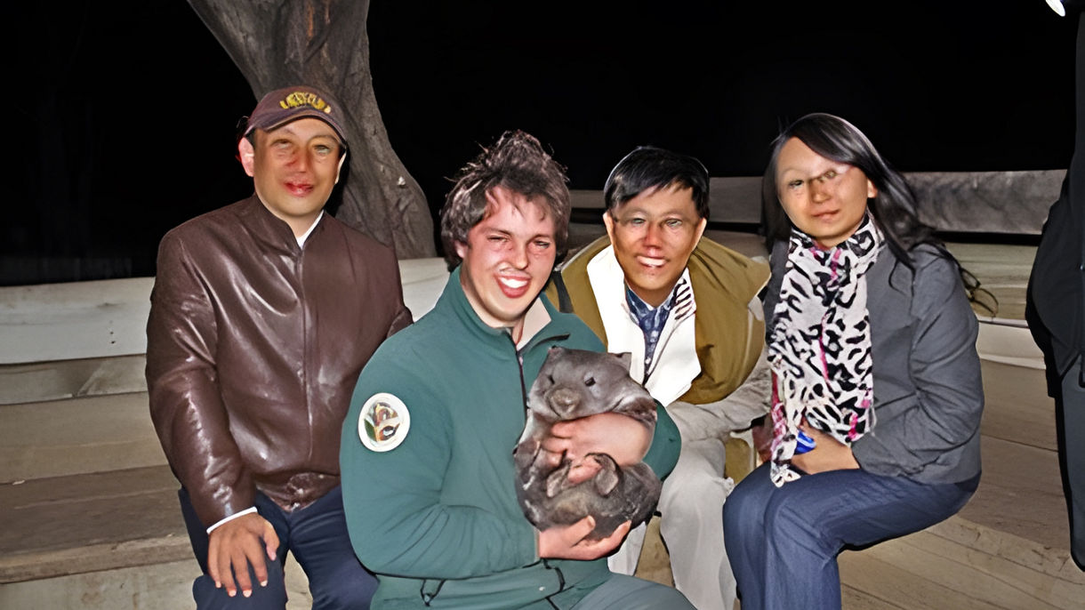 Evening at Bonorong Wildlife Sanctuary