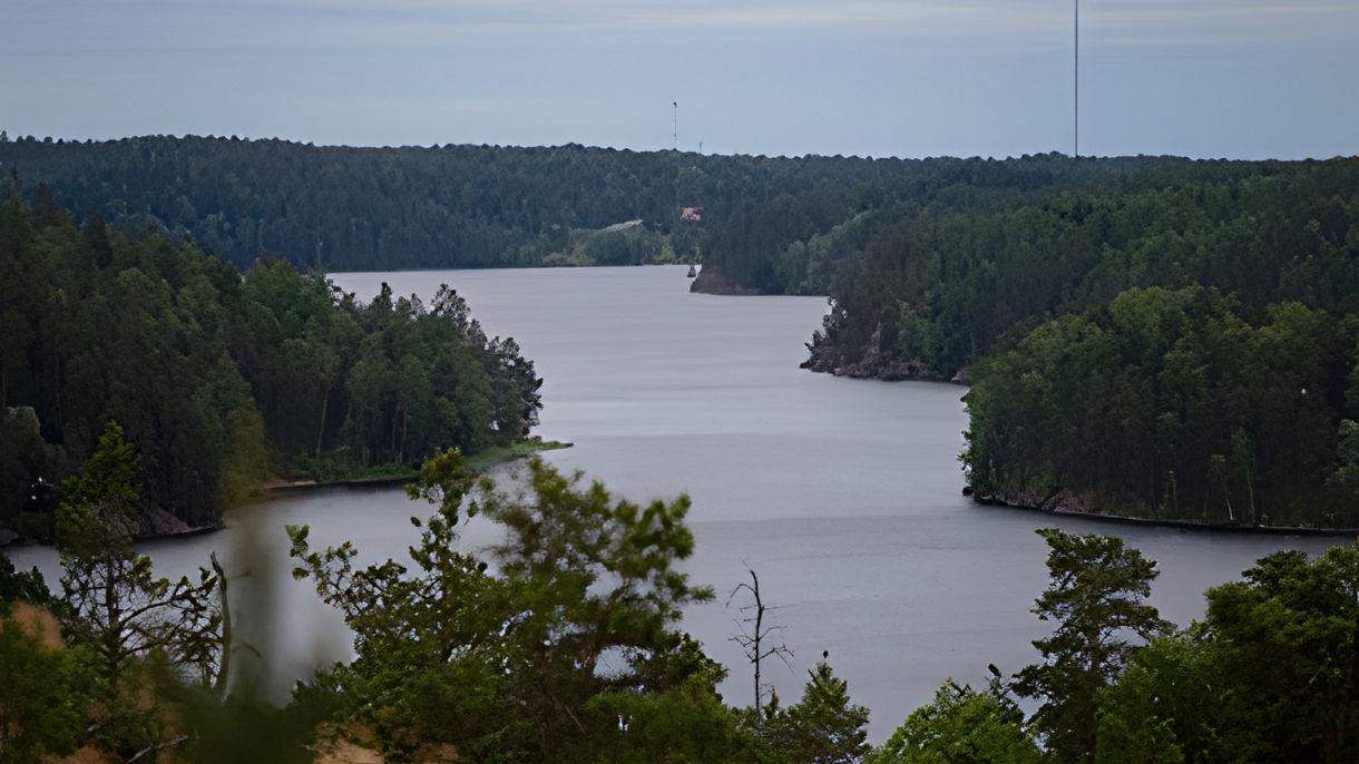 Nuuksio Forest Walk & Open-Fire Pancakes