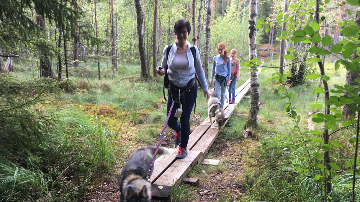 Forest Trekking with the Huskies