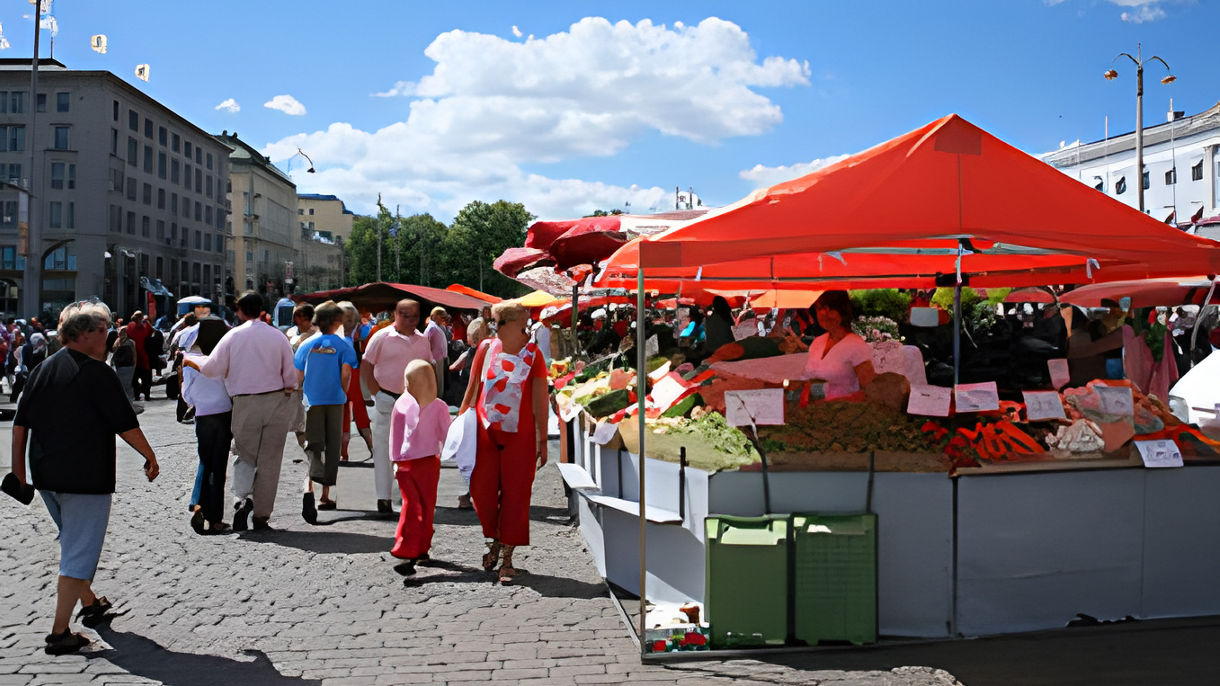Helsinki by Private Vehicle  -  Car Class Half Day (Driver Only)