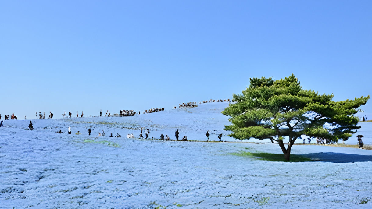 Highlights of Ibaraki