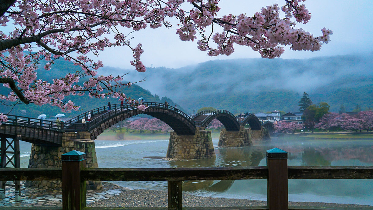 岩国めぐりと錦帯橋（日本語ガイド）(Guided in Japanese)
