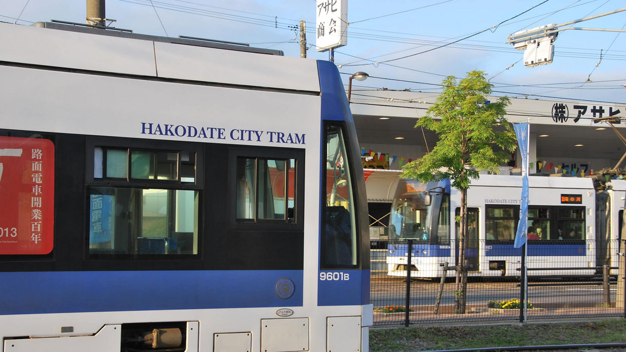 Local Connection: From Market to Table, Authentic Hakodate Cooking Experience