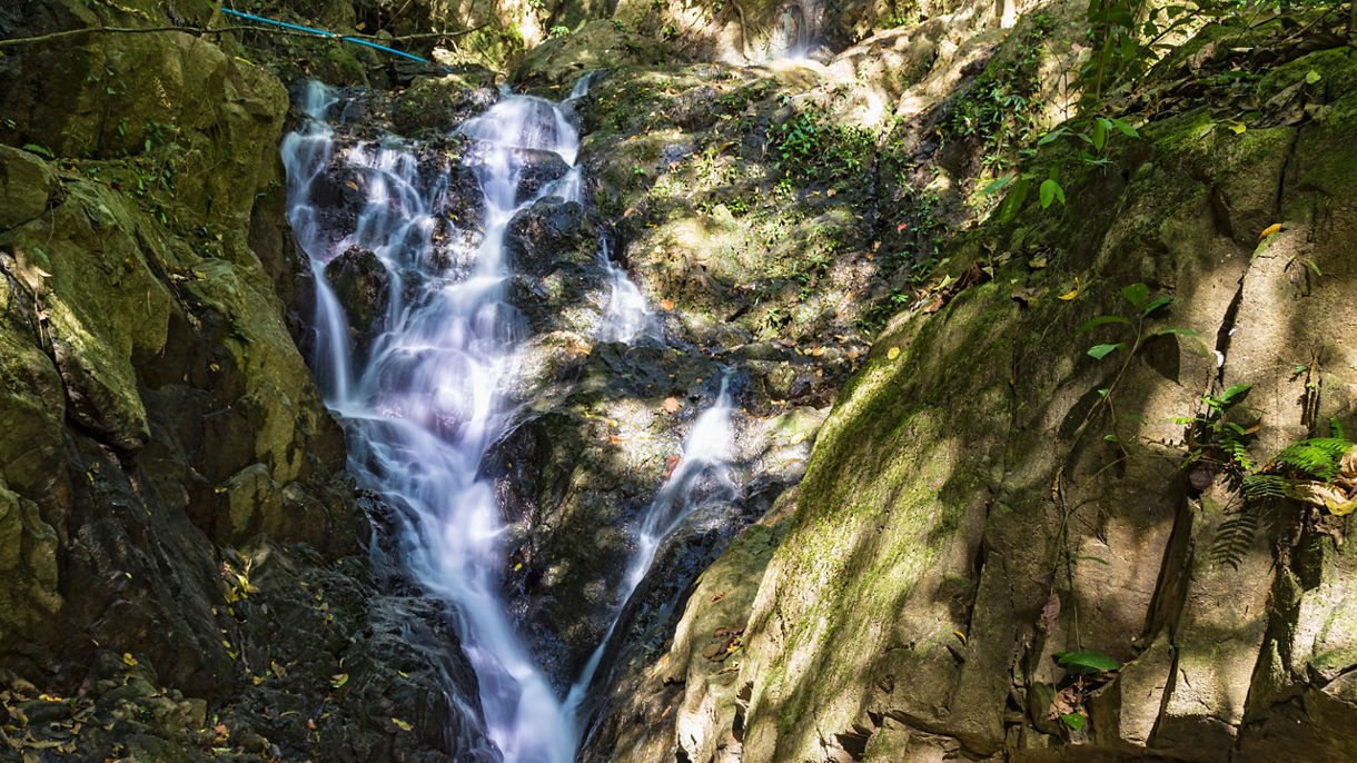 Khao Phra Taew National Park & Eco-Hike