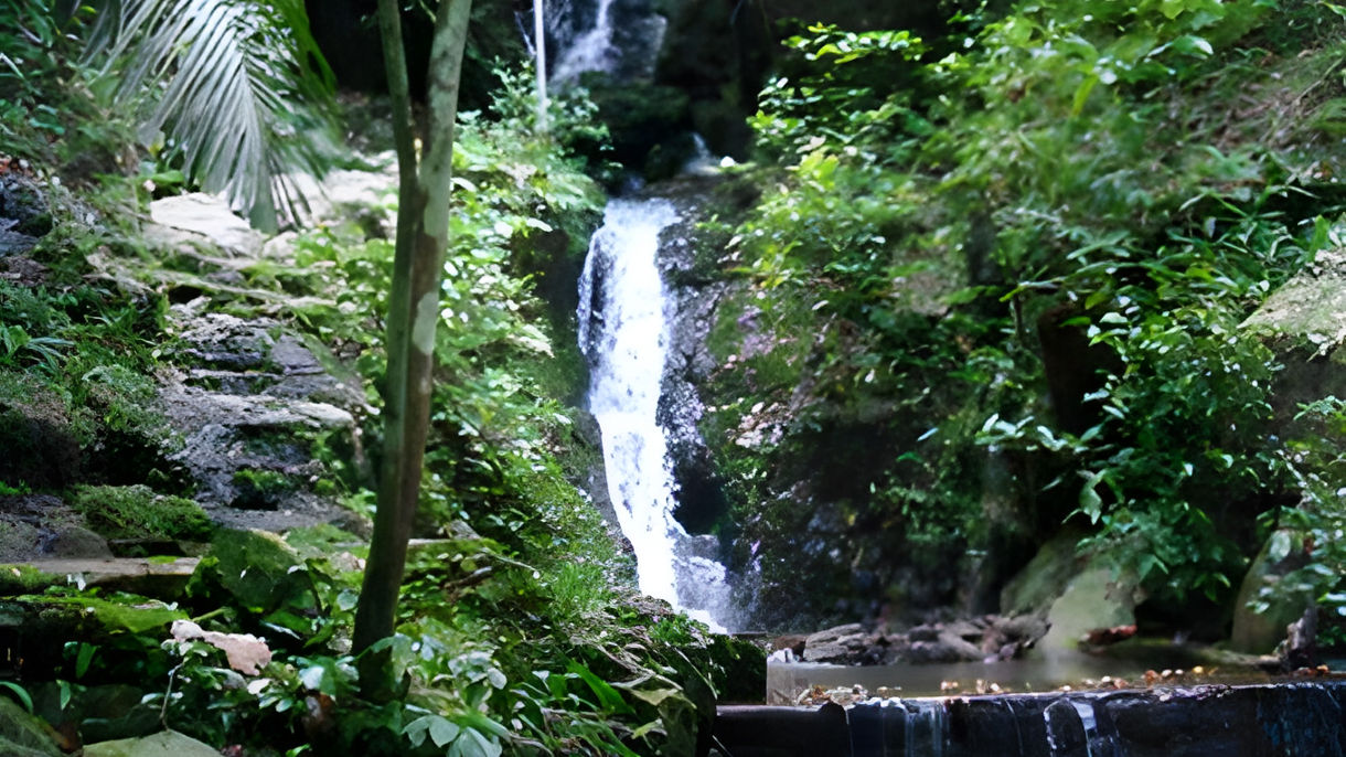 Khao Phra Taew National Park & Eco-Hike